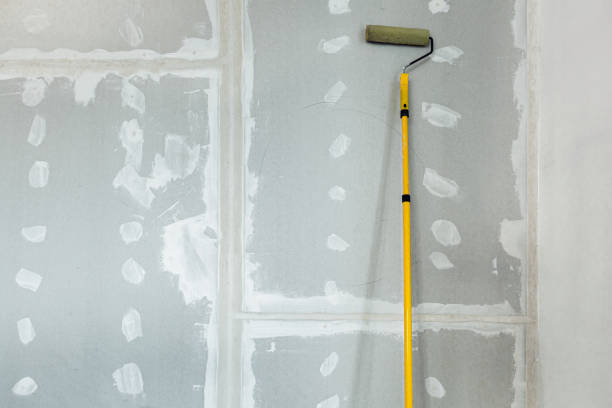 Best Mold Documentation for Insurance Claims  in Orange, TX
