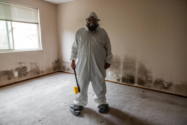 Best Asbestos and Lead Testing During Mold Inspection  in Orange, TX
