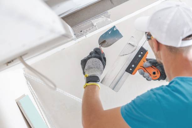  Orange, TX Mold Removal Pros